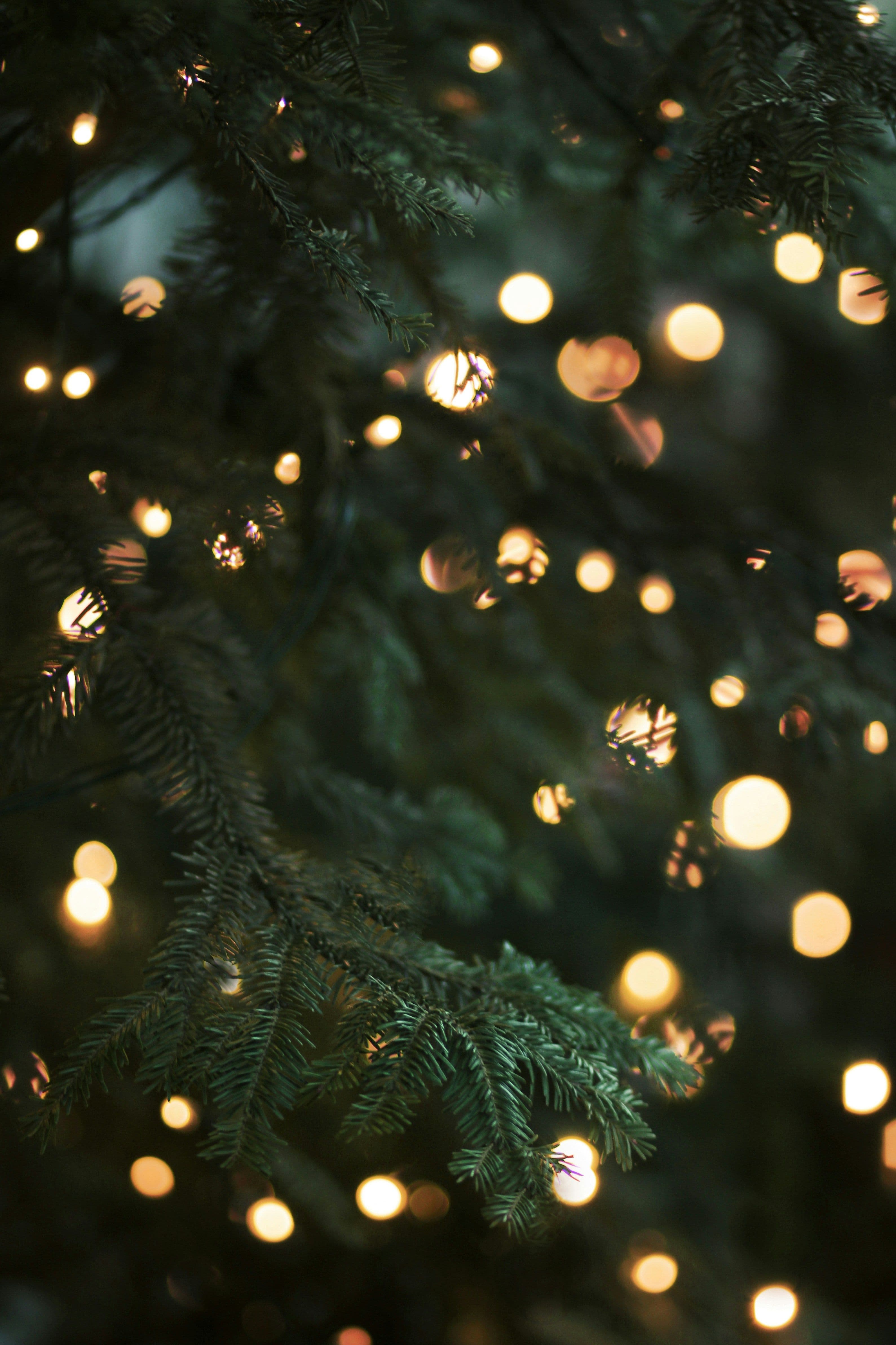 Weihnachten in der Villa Meßmer
