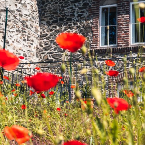 VillaMessmer_20230527-NZ7_6995-150dpi